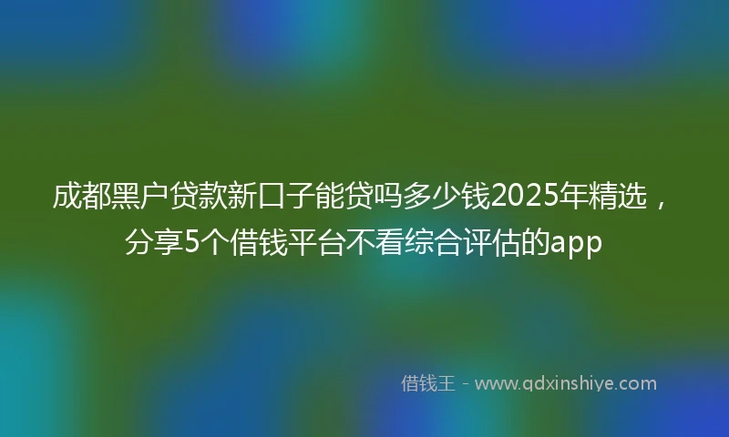 成都黑户贷款新口子能贷吗多少钱2025年精选，分享5个借钱平台不看综合评估的app