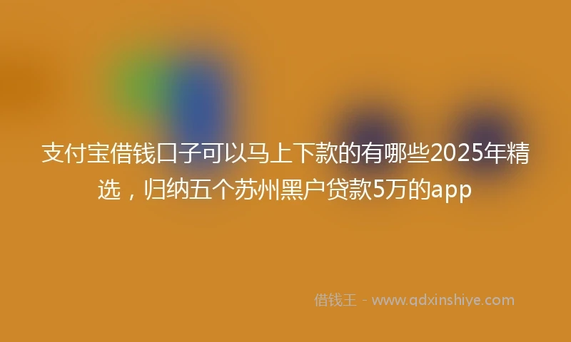 支付宝借钱口子可以马上下款的有哪些2025年精选，归纳五个苏州黑户贷款5万的app