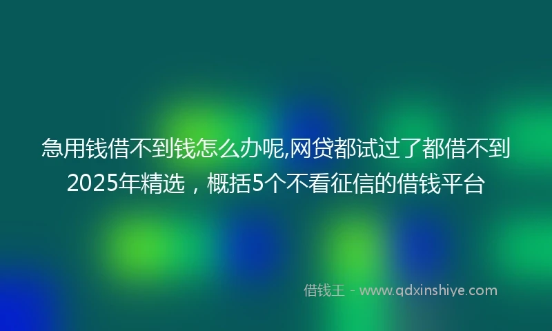 急用钱借不到钱怎么办呢,网贷都试过了都借不到2025年精选，概括5个不看征信的借钱平台