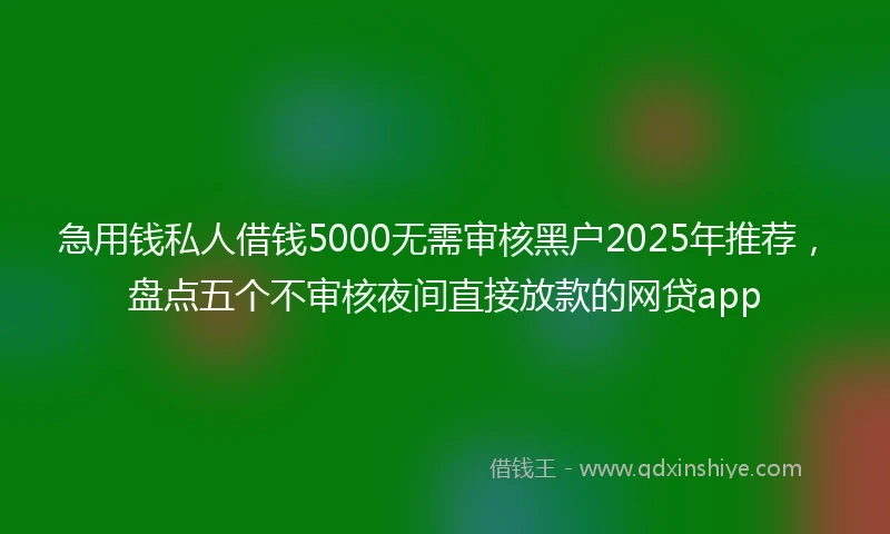 急用钱私人借钱5000无需审核黑户2025年推荐，盘点五个不审核夜间直接放款的网贷app