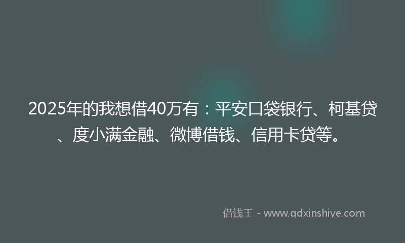 2025年的我想借40万有：平安口袋银行、柯基贷、度小满金融、微博借钱、信用卡贷等。
