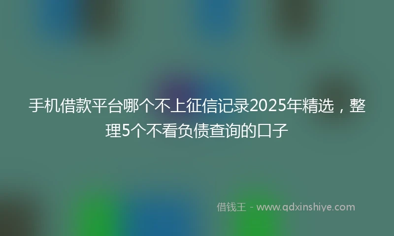 手机借款平台哪个不上征信记录2025年精选，整理5个不看负债查询的口子