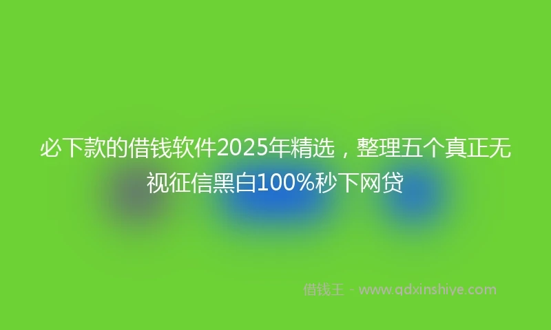 必下款的借钱软件2025年精选，整理五个真正无视征信黑白100%秒下网贷