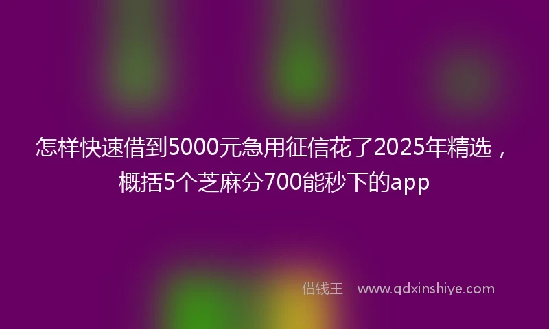 怎样快速借到5000元急用征信花了2025年精选，概括5个芝麻分700能秒下的app
