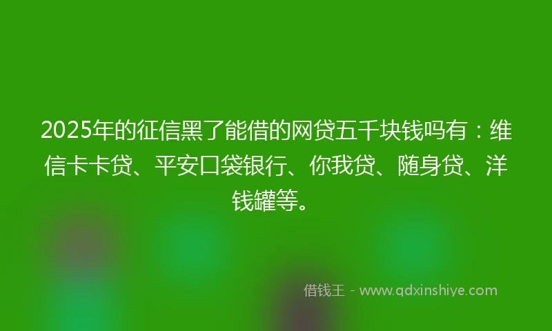 2025年的征信黑了能借的网贷五千块钱吗有：维信卡卡贷、平安口袋银行、你我贷、随身贷、洋钱罐等。
