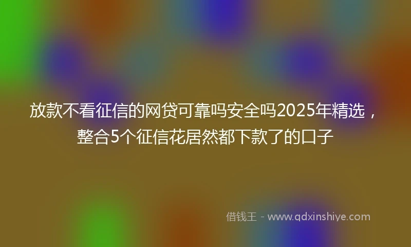 放款不看征信的网贷可靠吗安全吗2025年精选，整合5个征信花居然都下款了的口子