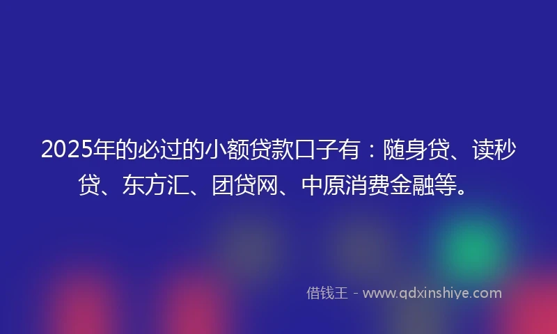 2025年的必过的小额贷款口子有：随身贷、读秒贷、东方汇、团贷网、中原消费金融等。