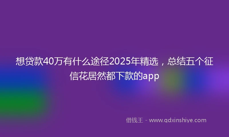 想贷款40万有什么途径2025年精选，总结五个征信花居然都下款的app