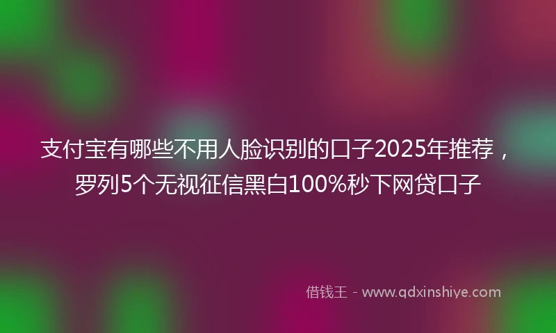 支付宝有哪些不用人脸识别的口子2025年推荐，罗列5个无视征信黑白100%秒下网贷口子