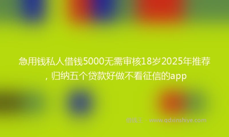 急用钱私人借钱5000无需审核18岁2025年推荐,归纳五个贷款好做不看征信的app