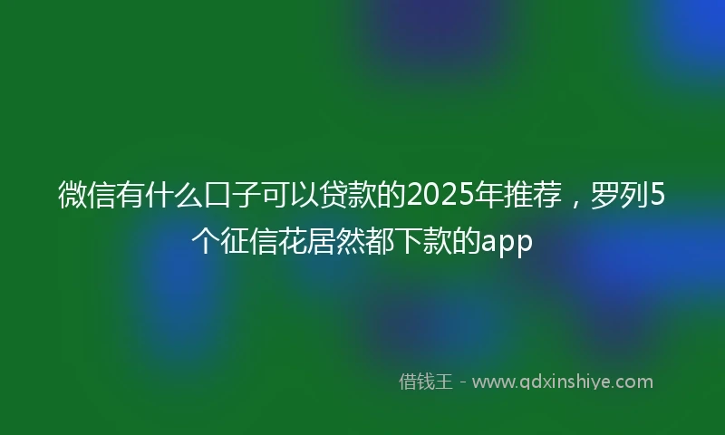 微信有什么口子可以贷款的2025年推荐，罗列5个征信花居然都下款的app