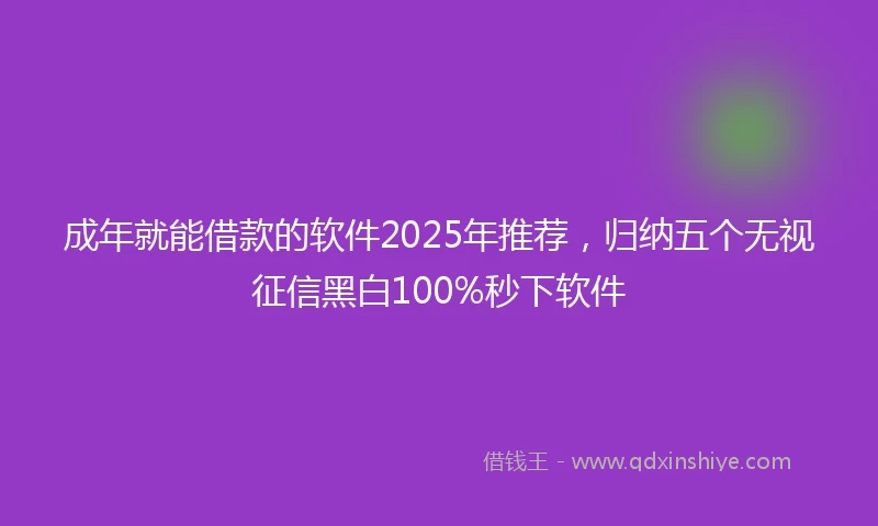 成年就能借款的软件2025年推荐，归纳五个无视征信黑白100%秒下软件