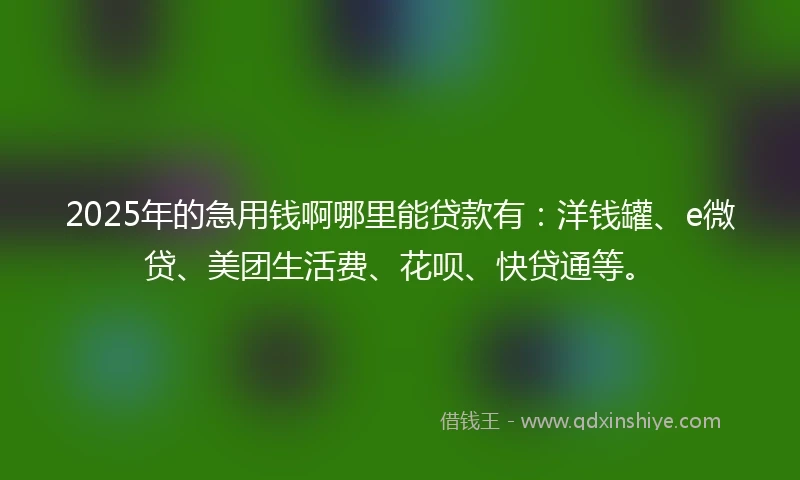 2025年的急用钱啊哪里能贷款有：洋钱罐、e微贷、美团生活费、花呗、快贷通等。