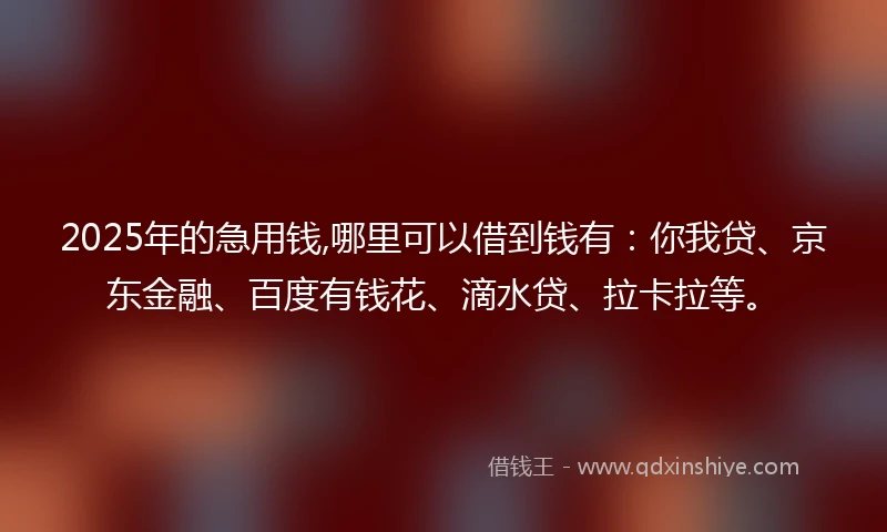 2025年的急用钱,哪里可以借到钱有：你我贷、京东金融、百度有钱花、滴水贷、拉卡拉等。