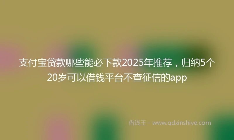 支付宝贷款哪些能必下款2025年推荐，归纳5个20岁可以借钱平台不查征信的app