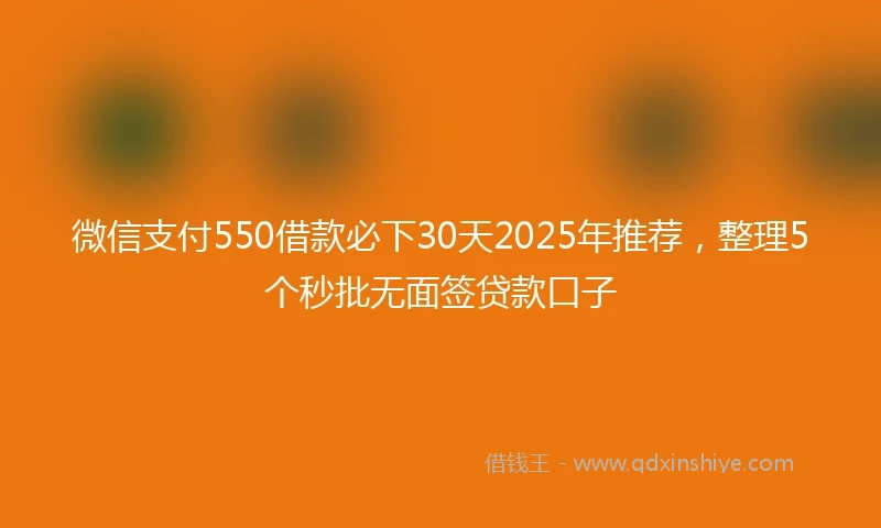 微信支付550借款必下30天2025年推荐,整理5个秒批无面签贷款口子