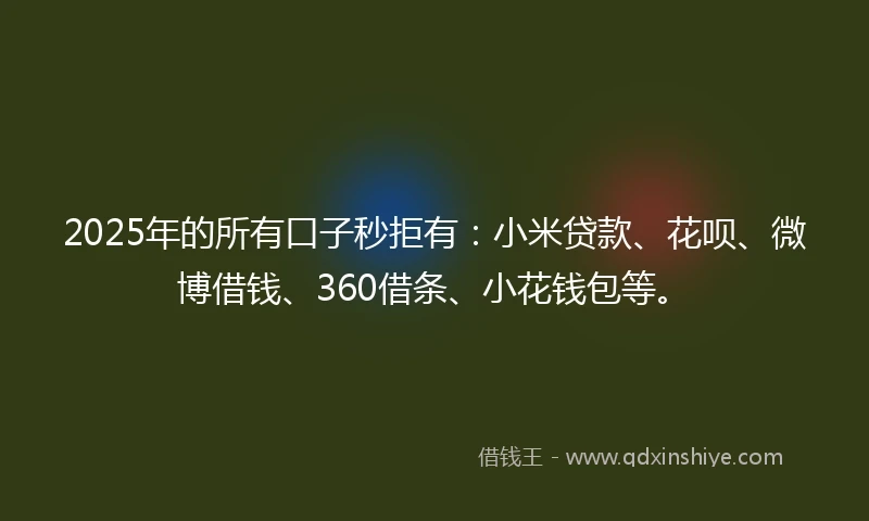 2025年的所有口子秒拒有：小米贷款、花呗、微博借钱、360借条、小花钱包等。