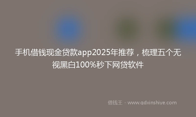 手机借钱现金贷款app2025年推荐，梳理五个无视黑白100%秒下网贷软件