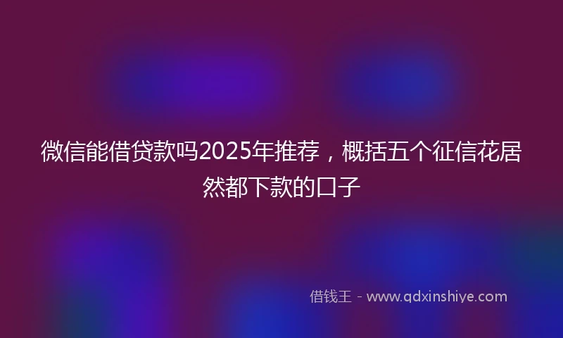 微信能借贷款吗2025年推荐，概括五个征信花居然都下款的口子