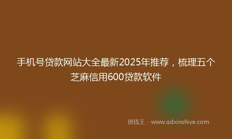 手机号贷款网站大全最新2025年推荐，梳理五个芝麻信用600贷款软件