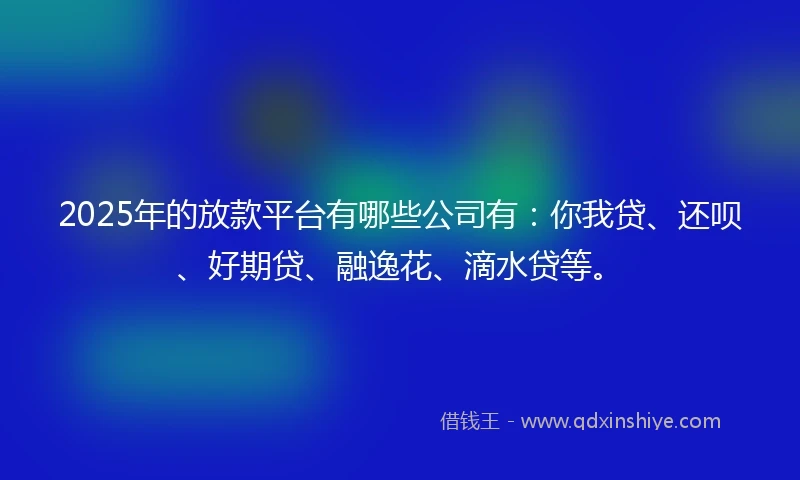 2025年的放款平台有哪些公司有：你我贷、还呗、好期贷、融逸花、滴水贷等。
