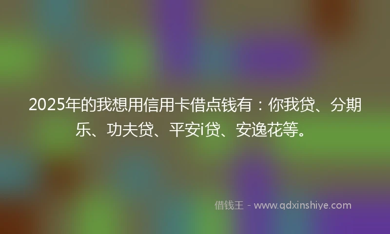 2025年的我想用信用卡借点钱有：你我贷、分期乐、功夫贷、平安i贷、安逸花等。