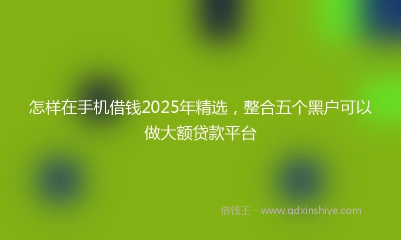 怎样在手机借钱2025年精选，整合五个黑户可以做大额贷款平台