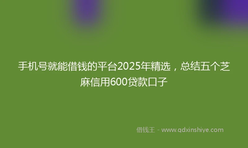 手机号就能借钱的平台2025年精选，总结五个芝麻信用600贷款口子