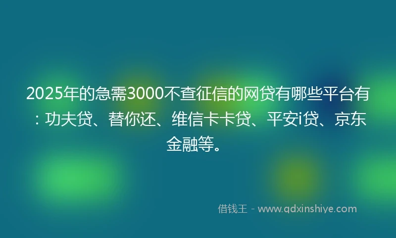 2025年的急需3000不查征信的网贷有哪些平台有：功夫贷、替你还、维信卡卡贷、平安i贷、京东金融等。