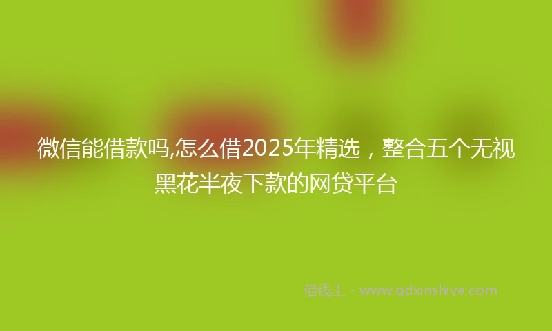 微信能借款吗,怎么借2025年精选，整合五个无视黑花半夜下款的网贷平台