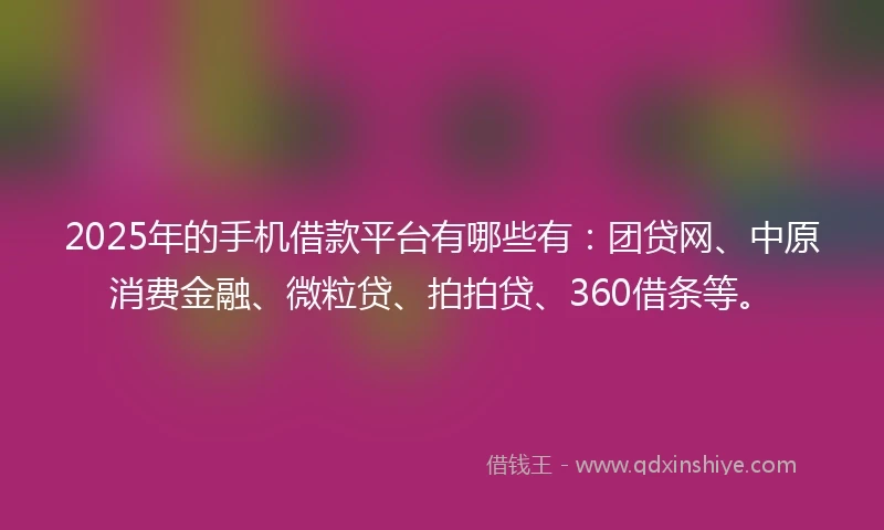 2025年的手机借款平台有哪些有：团贷网、中原消费金融、微粒贷、拍拍贷、360借条等。