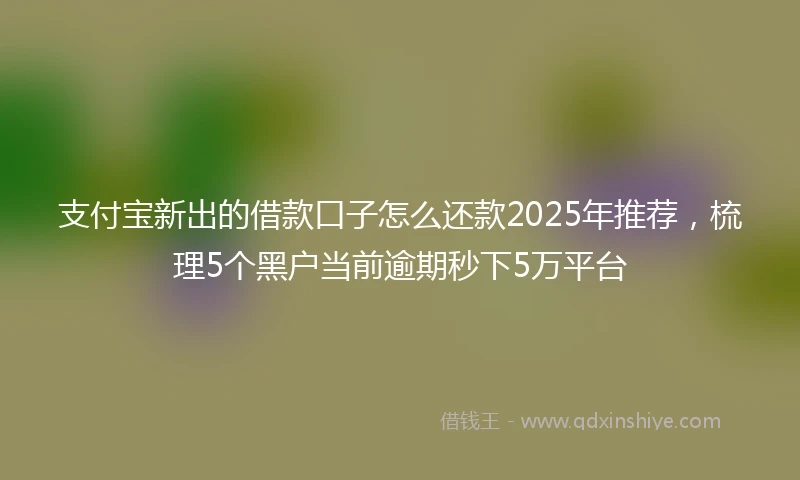 支付宝新出的借款口子怎么还款2025年推荐，梳理5个黑户当前逾期秒下5万平台