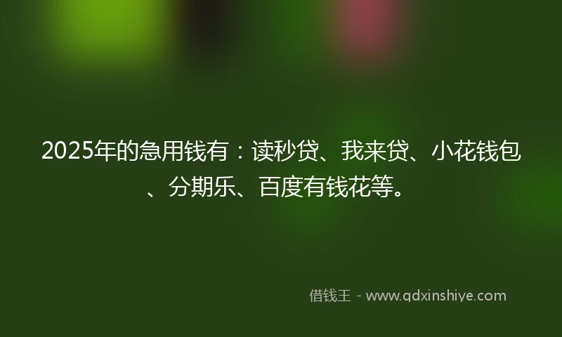 2025年的急用钱有：读秒贷、我来贷、小花钱包、分期乐、百度有钱花等。
