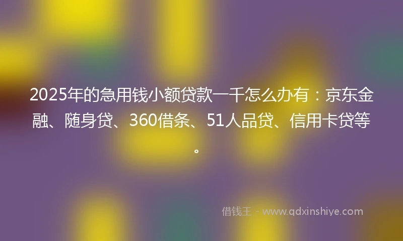 2025年的急用钱小额贷款一千怎么办有：京东金融、随身贷、360借条、51人品贷、信用卡贷等。