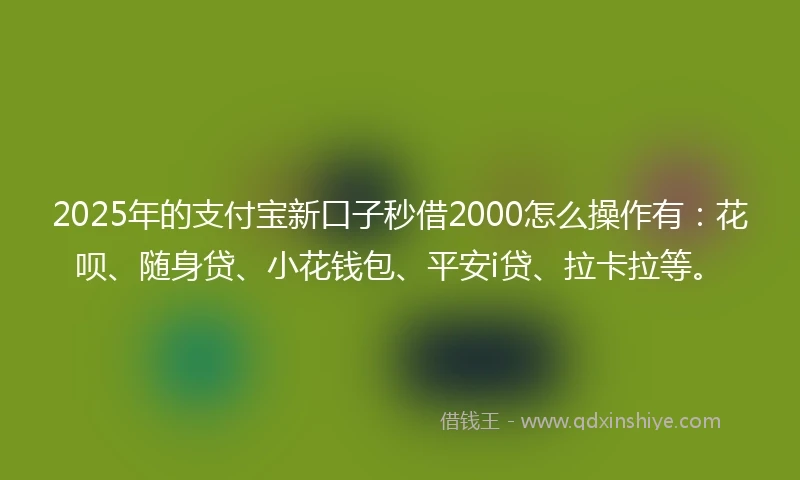 2025年的支付宝新口子秒借2000怎么操作有：花呗、随身贷、小花钱包、平安i贷、拉卡拉等。