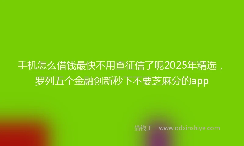 手机怎么借钱最快不用查征信了呢2025年精选，罗列五个金融创新秒下不要芝麻分的app