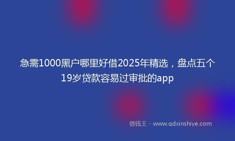 急需1000黑户哪里好借2025年精选，盘点五个19岁贷款容易过审批的app