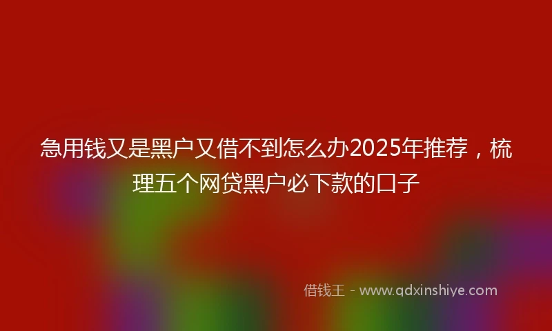 急用钱又是黑户又借不到怎么办2025年推荐，梳理五个网贷黑户必下款的口子