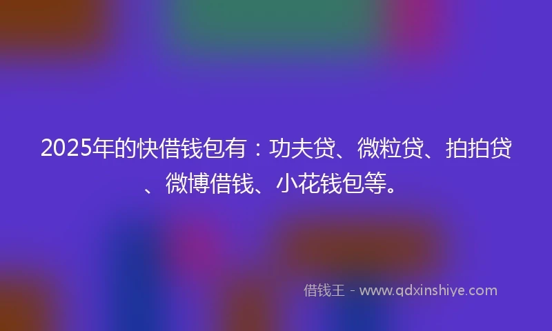 2025年的快借钱包有：功夫贷、微粒贷、拍拍贷、微博借钱、小花钱包等。