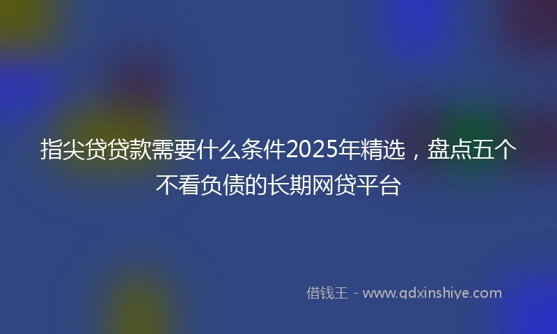 指尖贷贷款需要什么条件2025年精选，盘点五个不看负债的长期网贷平台