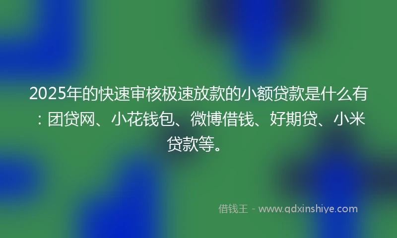 2025年的快速审核极速放款的小额贷款是什么有：团贷网、小花钱包、微博借钱、好期贷、小米贷款等。