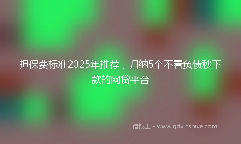 担保费标准2025年推荐，归纳5个不看负债秒下款的网贷平台