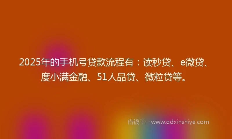 2025年的手机号贷款流程有：读秒贷、e微贷、度小满金融、51人品贷、微粒贷等。