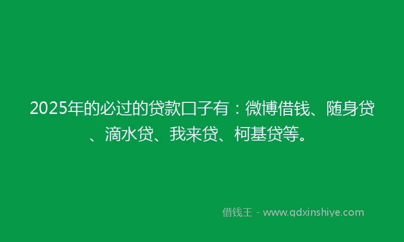 2025年的必过的贷款囗子有：微博借钱、随身贷、滴水贷、我来贷、柯基贷等。