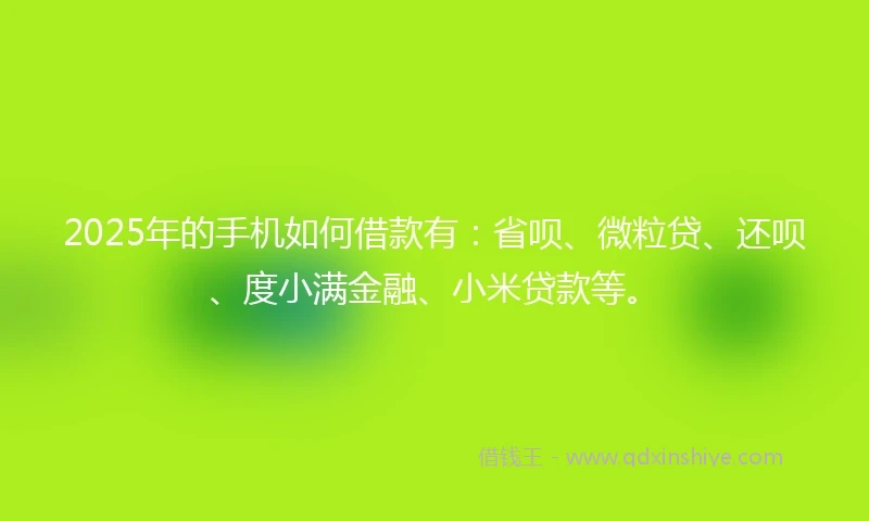 2025年的手机如何借款有：省呗、微粒贷、还呗、度小满金融、小米贷款等。
