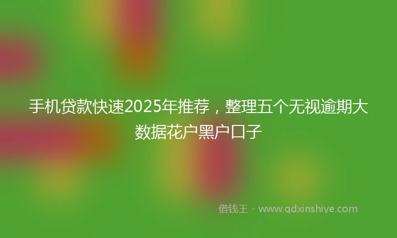 手机贷款快速2025年推荐，整理五个无视逾期大数据花户黑户口子