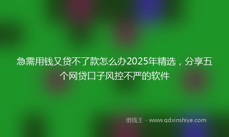 急需用钱又贷不了款怎么办2025年精选，分享五个网贷口子风控不严的软件