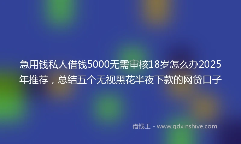 急用钱私人借钱5000无需审核18岁怎么办2025年推荐，总结五个无视黑花半夜下款的网贷口子