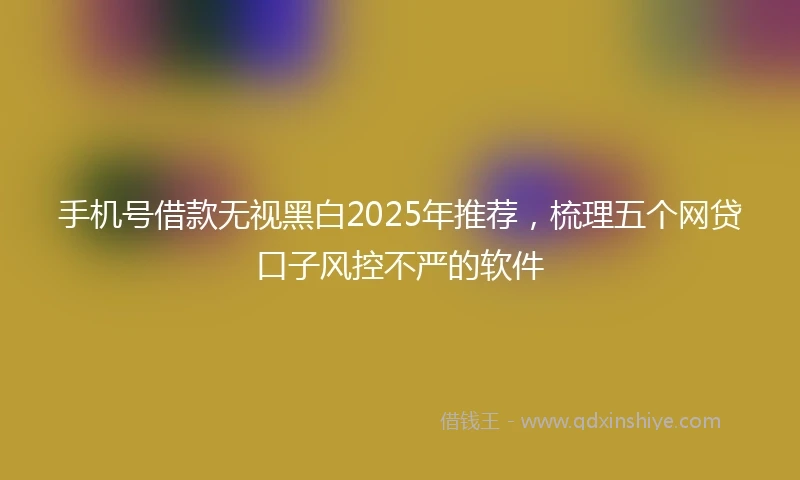 手机号借款无视黑白2025年推荐，梳理五个网贷口子风控不严的软件