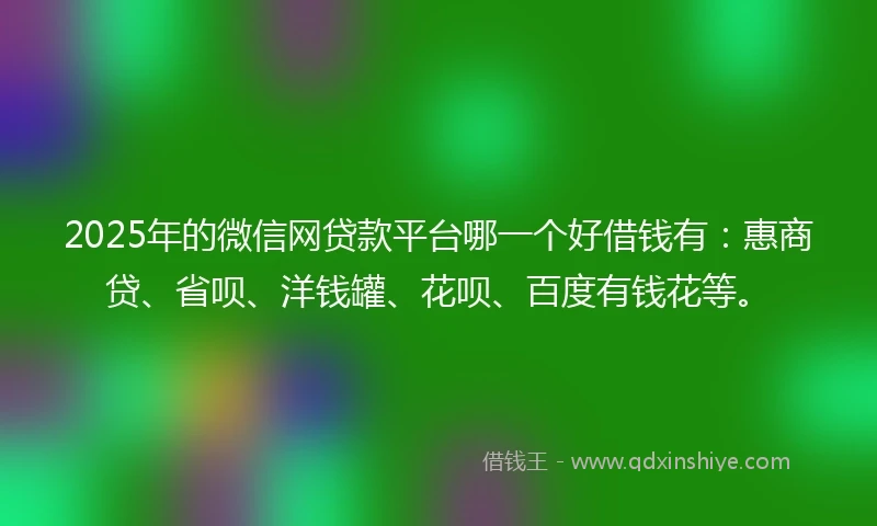 2025年的微信网贷款平台哪一个好借钱有：惠商贷、省呗、洋钱罐、花呗、百度有钱花等。